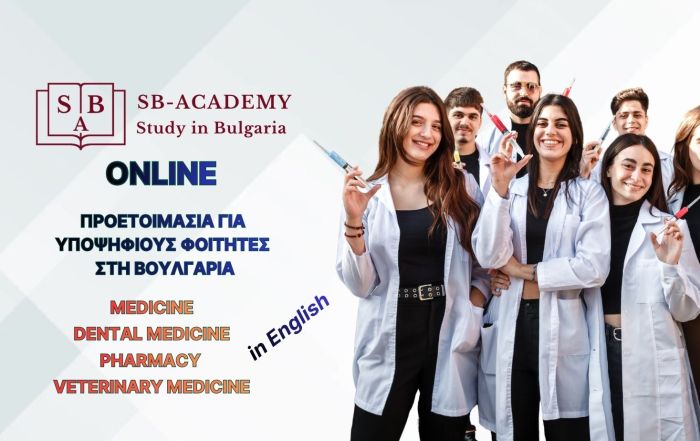 SB-ACADEMY Preparation Platform